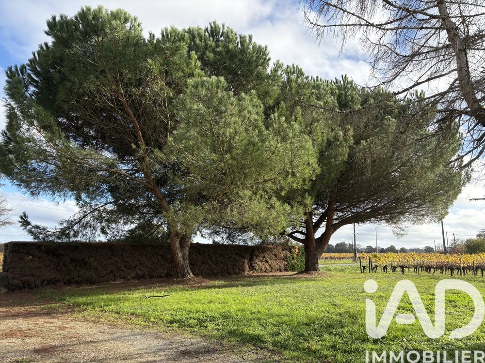 � vendre  Maison Lussac (33570)