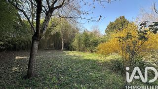  Maison � vendre 8 pi�ces 245 m�