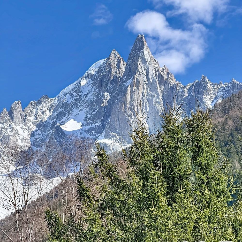 � vendre  Maison Chamonix-Mont-Blanc (74400)