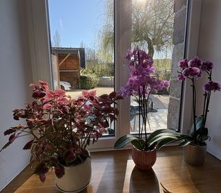  Maison � vendre 6 pi�ces 149 m�