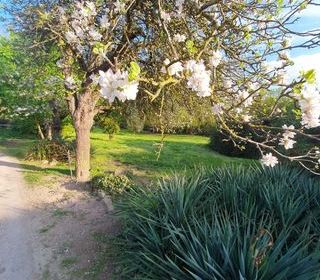  Appartement � vendre 1 pi�ce 24 m�