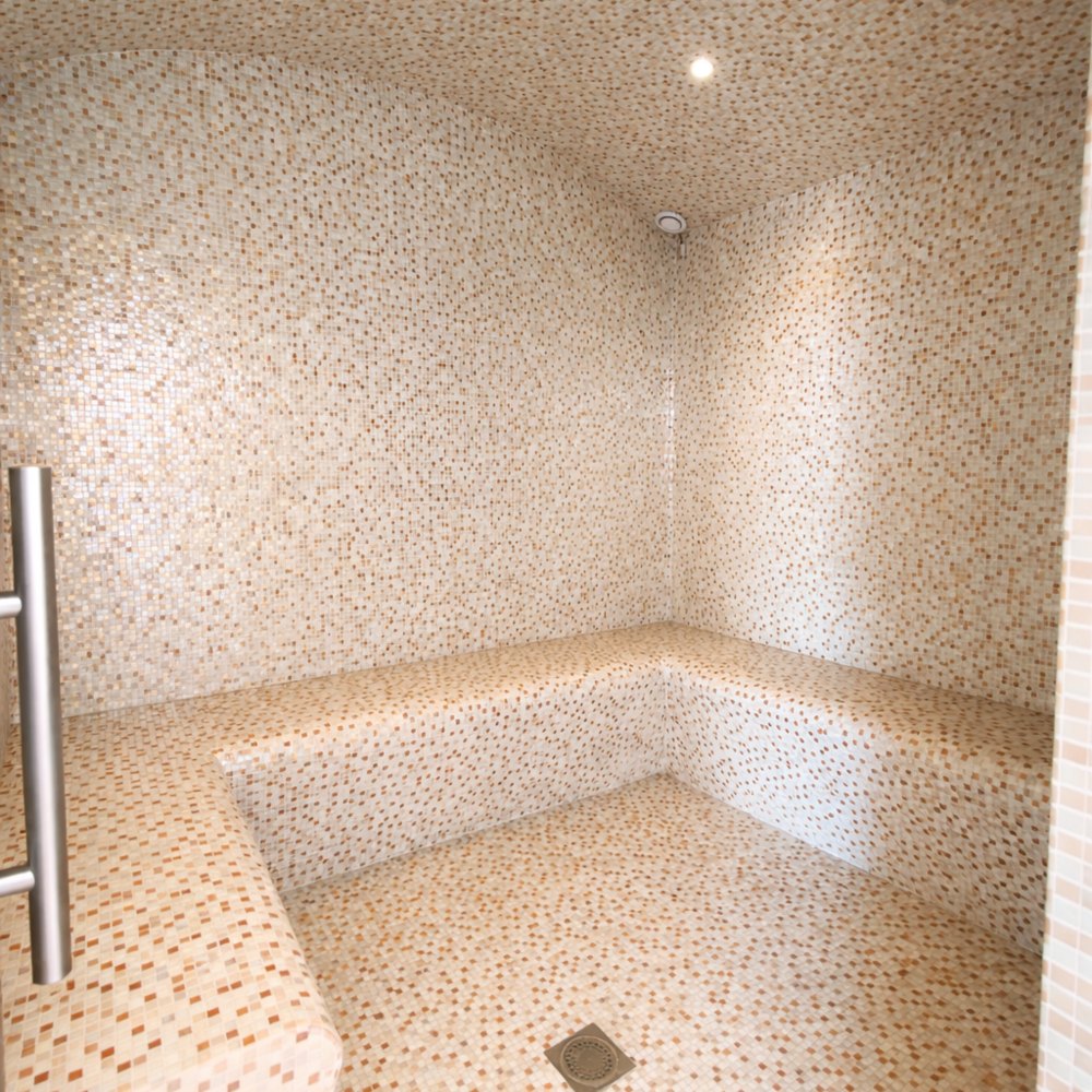 � vendre  Villa Mougins (06250)