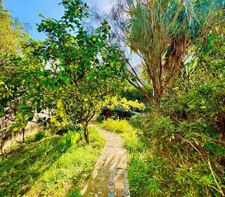  Appartement � vendre 3 pi�ces 79 m�