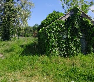  Immeuble � vendre 350 m�