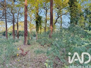  Terrain � vendre 985 m�