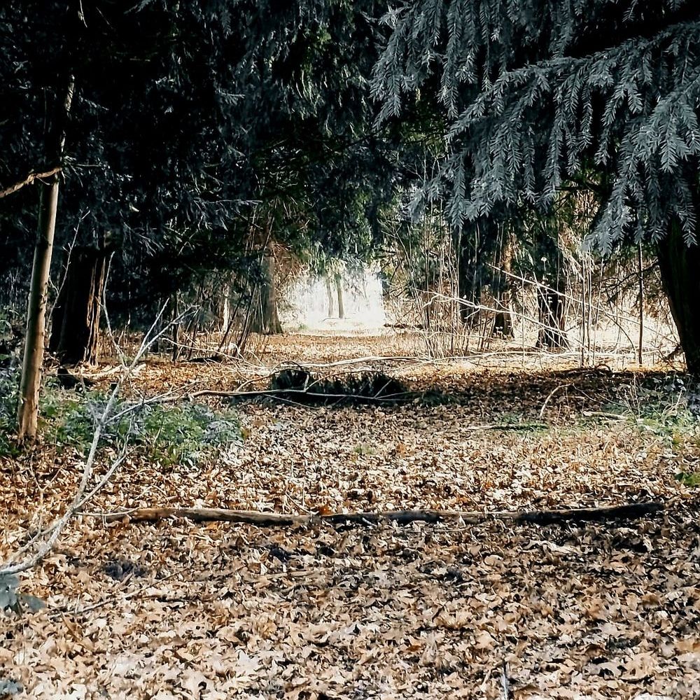 � vendre  Maison Lecelles (59226)