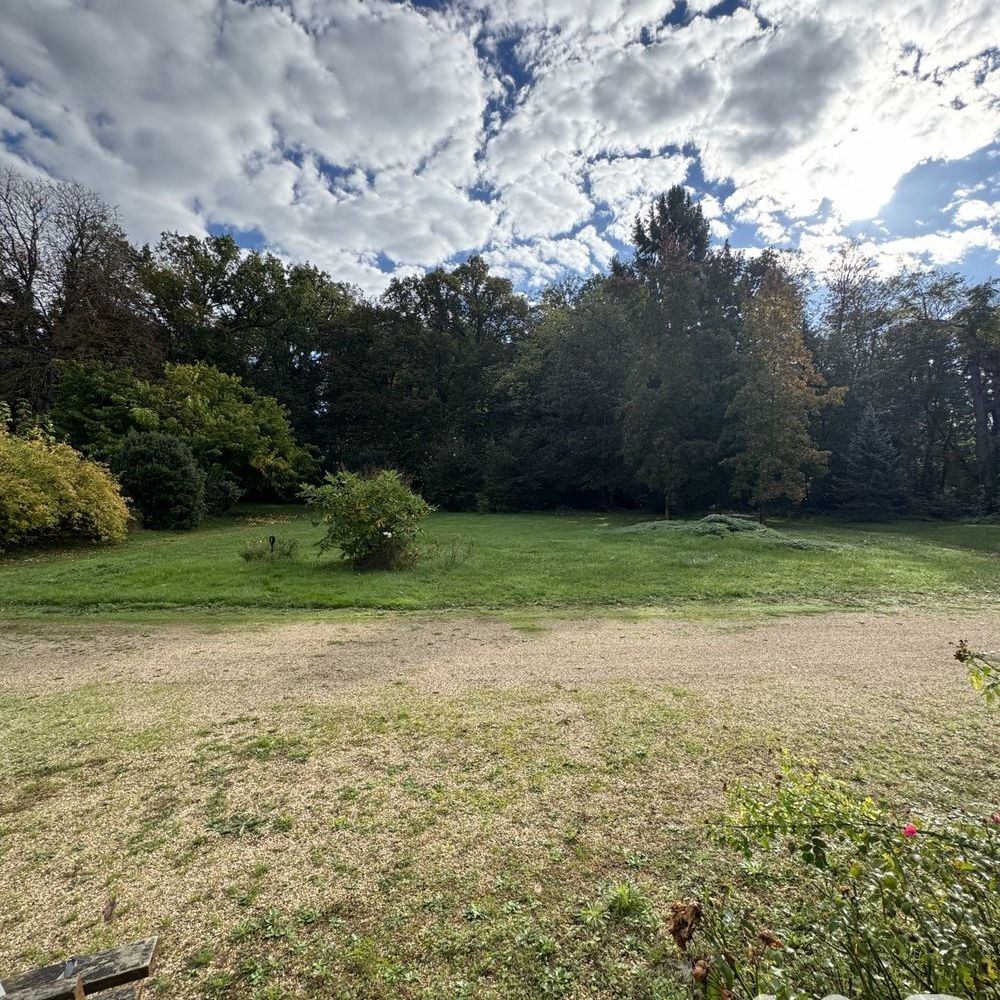 � vendre  Propri�t�/ch�teau Vornay (18130)