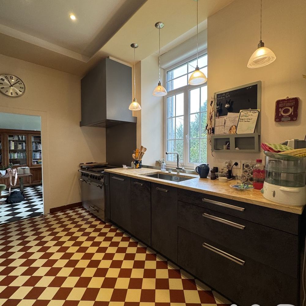 � vendre  Propri�t�/ch�teau Vornay (18130)