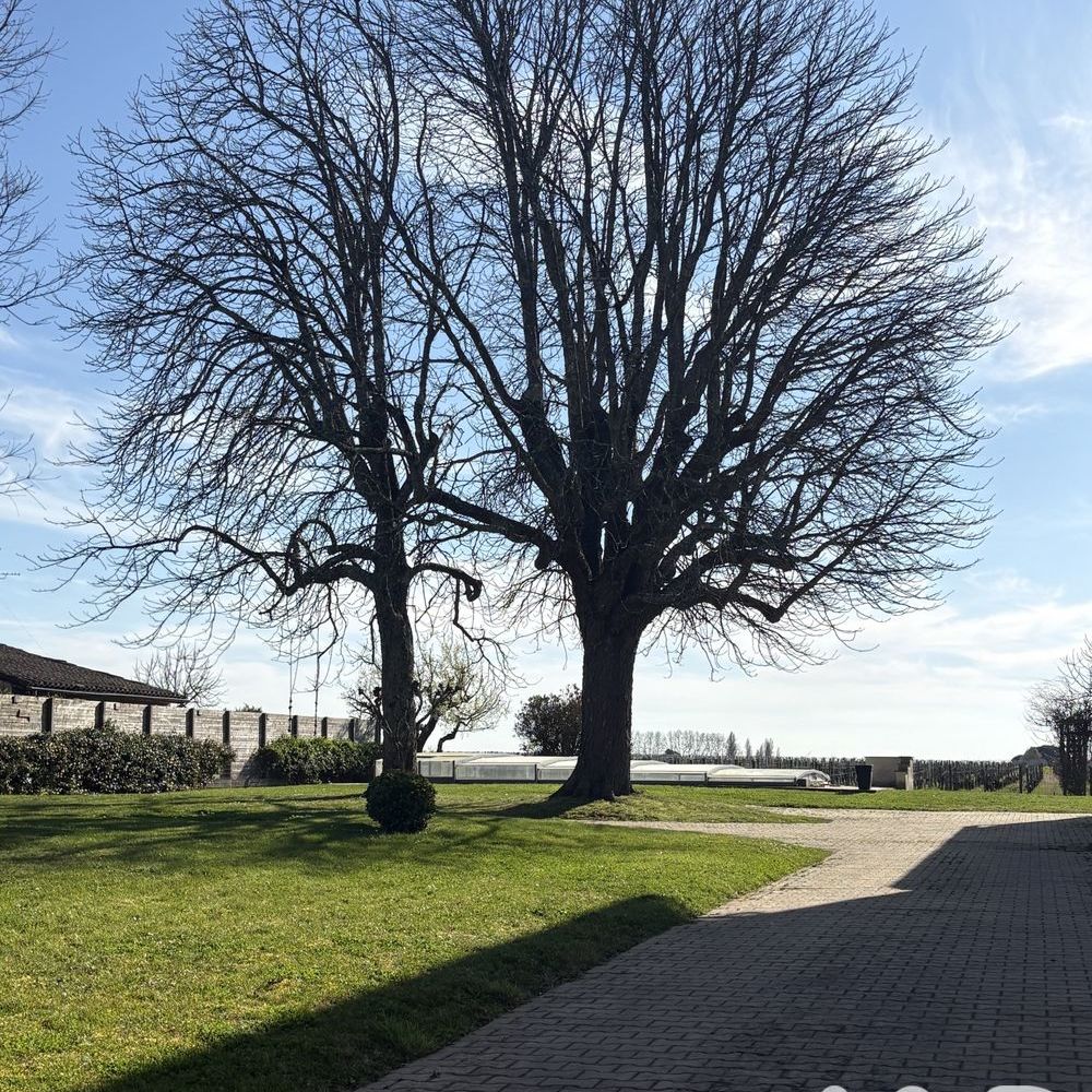 � vendre  Maison Saint-�milion (33330)