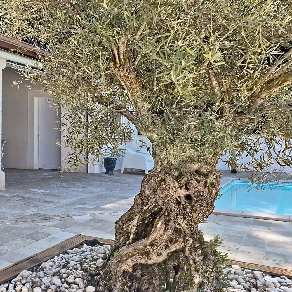 � vendre  Maison Pradines (46090)