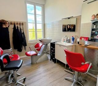  Propri�t�/ch�teau � vendre 12 pi�ces 480 m�