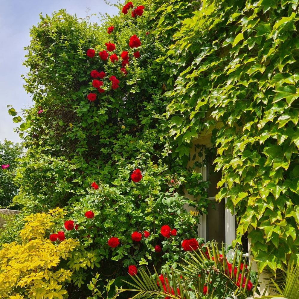 � vendre  Maison Vaux-sur-Aure (14400)