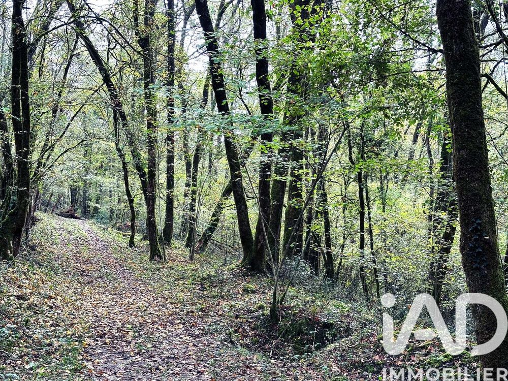 � vendre  Maison Urcuit (64990)