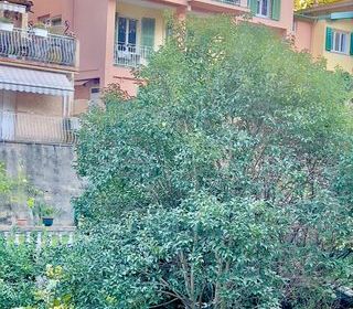  Appartement � vendre 4 pi�ces 84 m�