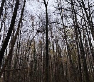  Terrain � vendre 29105 m�