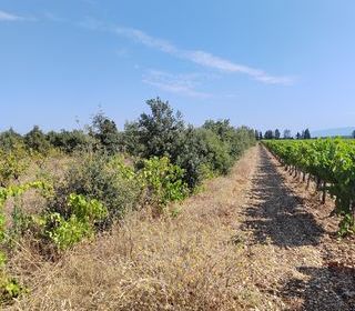  Terrain � vendre 6160 m�