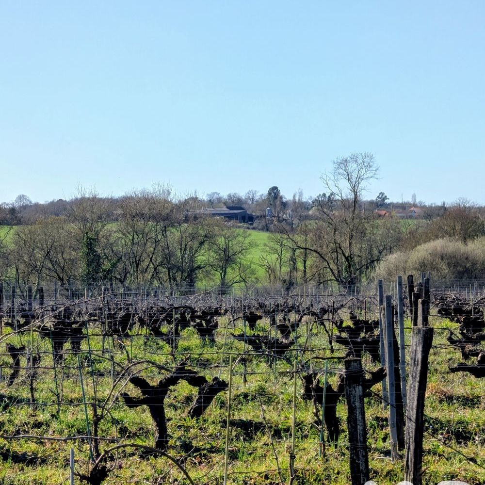 � vendre  Maison Vertou (44120)