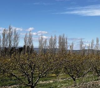  Terrain � vendre 103160 m�