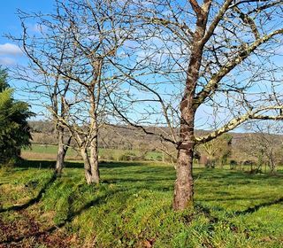  Terrain � vendre 1395 m�