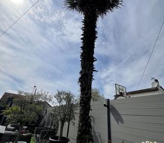  Maison � vendre 3 pi�ces 85 m�