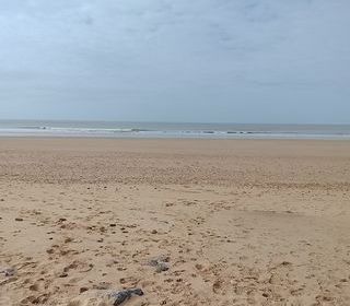  Appartement � vendre 3 pi�ces 45 m�