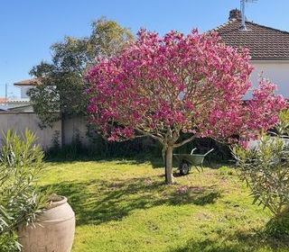  Maison � vendre 7 pi�ces 150 m�