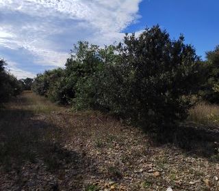  Terrain � vendre 4300 m�