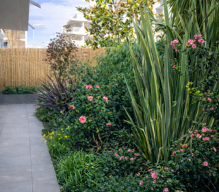  Appartement � vendre 3 pi�ces 60 m�