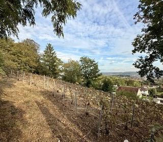  Terrain � vendre 749 m�