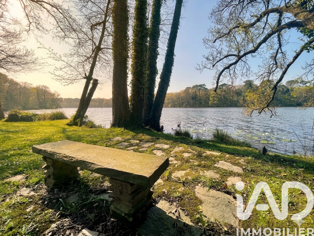 � vendre  Villa Suc�-sur-Erdre (44240)