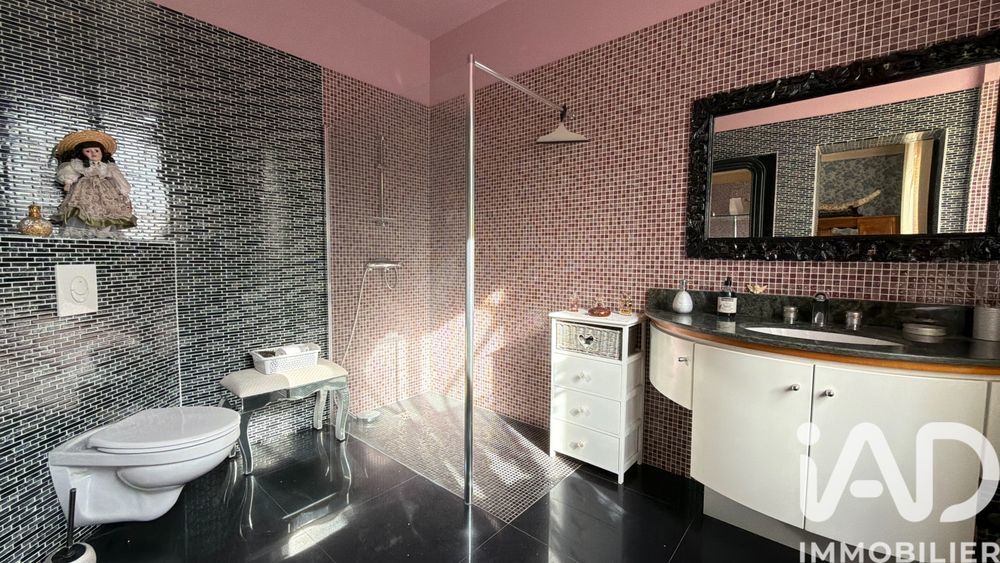 � vendre  Propri�t�/ch�teau Joinville (52300)