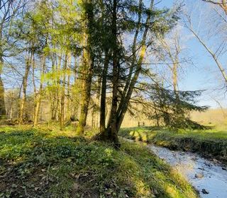  Terrain � vendre 4591 m�