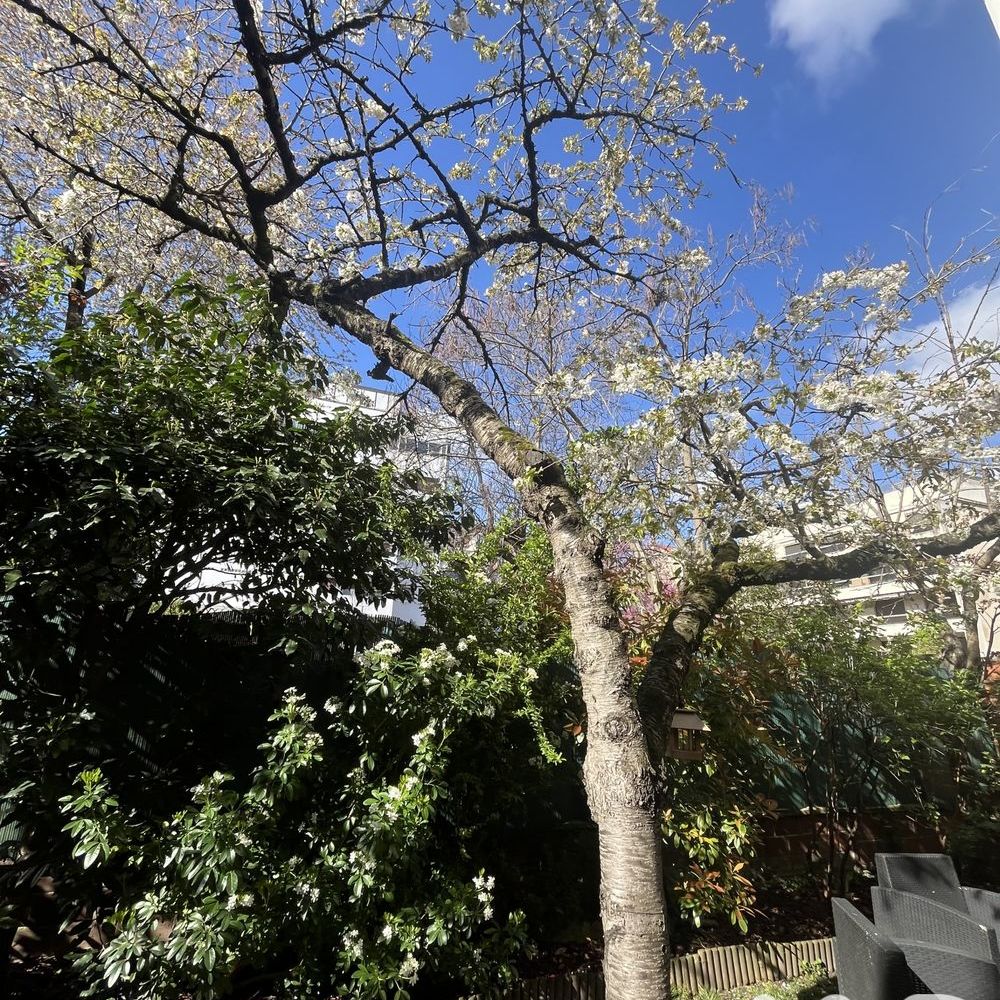 � vendre  Maison Courbevoie (92400)