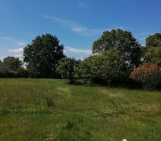  Terrain � vendre 3727 m�