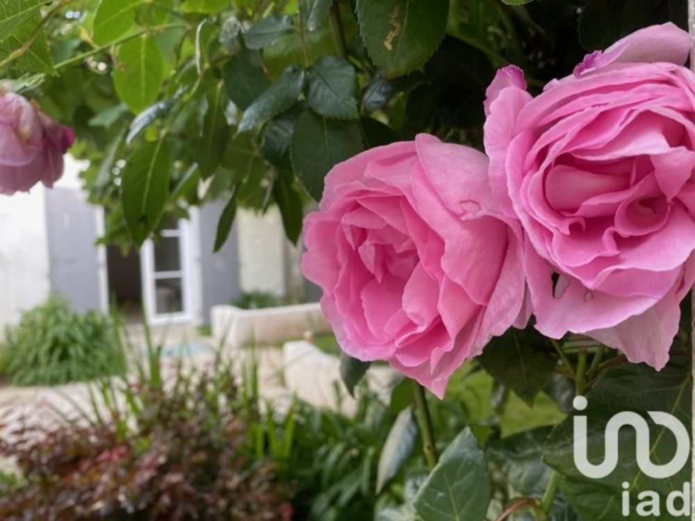 � vendre  Maison La Couarde-sur-Mer (17670)