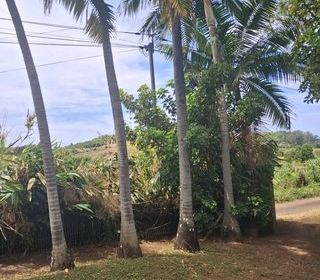  Terrain � vendre 754 m�