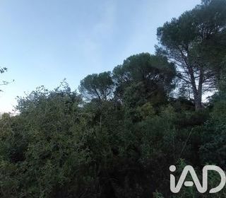  Terrain � vendre 4965 m�