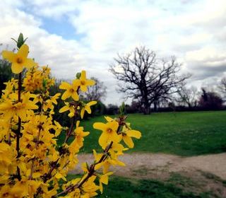  Maison � vendre 6 pi�ces 188 m�