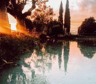  Maison � vendre 15 + pi�ces 750 m�