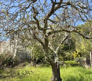  Terrain � vendre 584 m�