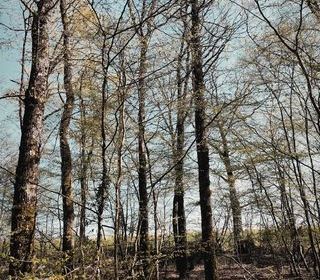  Terrain � vendre 6725 m�