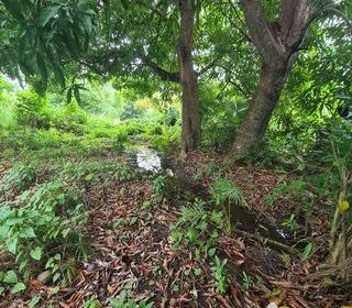  Terrain � vendre 1196 m�