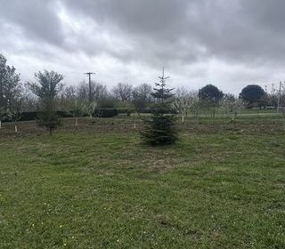  Terrain � vendre 3337 m�