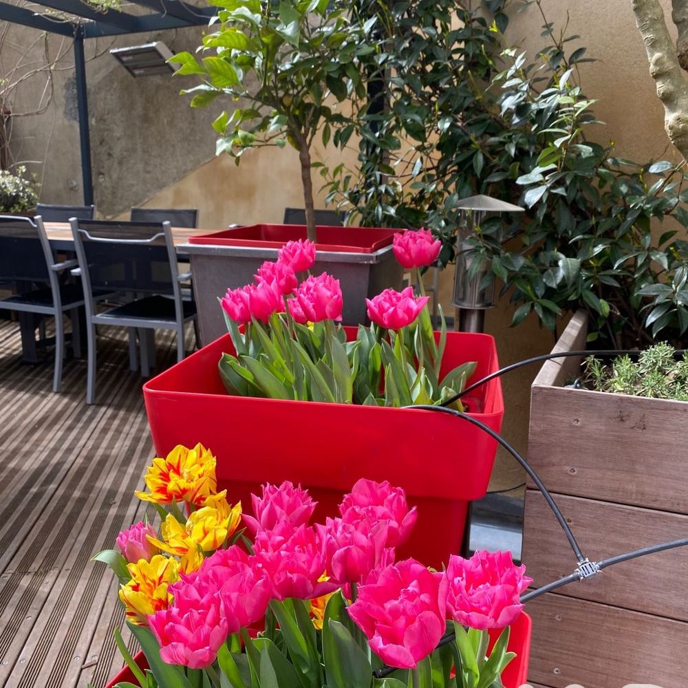 � vendre  Appartement Nantes (44000)