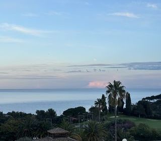  Appartement � vendre 2 pi�ces 22 m�