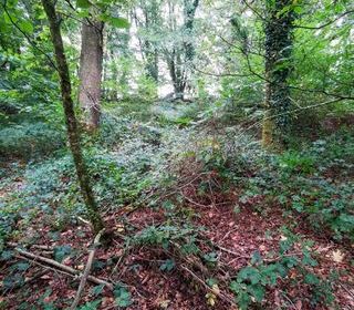  Terrain � vendre 15000 m�