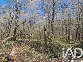  Terrain � vendre 98227 m�