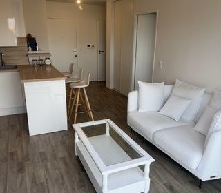  Appartement � vendre 2 pi�ces 41 m�