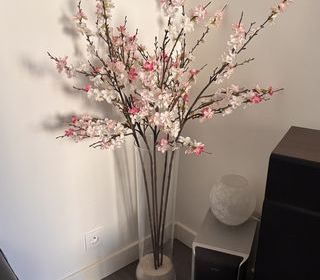  Appartement � vendre 3 pi�ces 62 m�