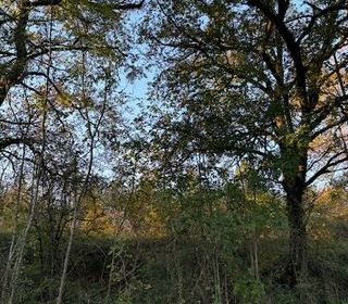  Terrain � vendre 2445 m�